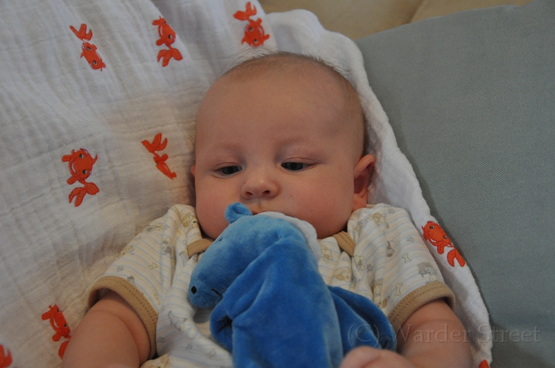 William's Eleventh Week 39.jpg